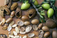 روغن مو آرگان اوجی ایکس OGX مدل اکسترا حجم 100 میلی لیتر